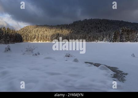 FRANCE, LORRAINE, VOSGES (88), PARC NATUREL RÉGIONAL DES BALLONS DES VOSGES, LAC LISPACH SOUS LA NEIGE EN HIVER Banque D'Images