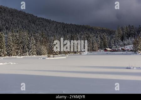 FRANCE, LORRAINE, VOSGES (88), PARC NATUREL RÉGIONAL DES BALLONS DES VOSGES, LAC LISPACH SOUS LA NEIGE EN HIVER Banque D'Images