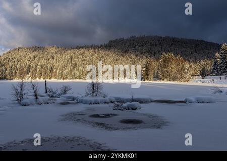FRANCE, LORRAINE, VOSGES (88), PARC NATUREL RÉGIONAL DES BALLONS DES VOSGES, LAC LISPACH SOUS LA NEIGE EN HIVER Banque D'Images