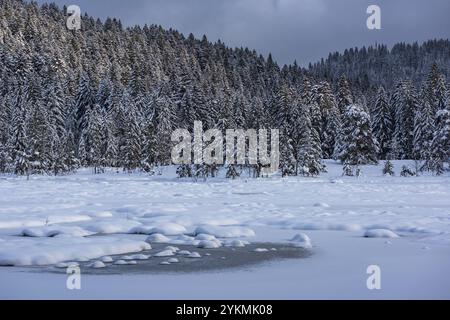 FRANCE, LORRAINE, VOSGES (88), PARC NATUREL RÉGIONAL DES BALLONS DES VOSGES, LAC LISPACH SOUS LA NEIGE EN HIVER Banque D'Images