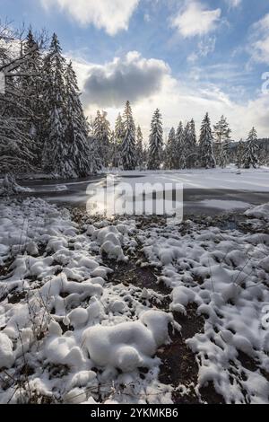 FRANCE, LORRAINE, VOSGES (88), PARC NATUREL RÉGIONAL DES BALLONS DES VOSGES, LAC LISPACH SOUS LA NEIGE EN HIVER Banque D'Images