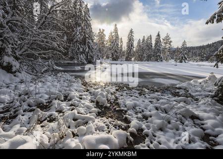 FRANCE, LORRAINE, VOSGES (88), PARC NATUREL RÉGIONAL DES BALLONS DES VOSGES, LAC LISPACH SOUS LA NEIGE EN HIVER Banque D'Images