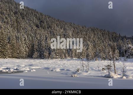 FRANCE, LORRAINE, VOSGES (88), PARC NATUREL RÉGIONAL DES BALLONS DES VOSGES, LAC LISPACH SOUS LA NEIGE EN HIVER Banque D'Images