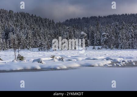 FRANCE, LORRAINE, VOSGES (88), PARC NATUREL RÉGIONAL DES BALLONS DES VOSGES, LAC LISPACH SOUS LA NEIGE EN HIVER Banque D'Images