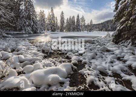 FRANCE, LORRAINE, VOSGES (88), PARC NATUREL RÉGIONAL DES BALLONS DES VOSGES, LAC LISPACH SOUS LA NEIGE EN HIVER Banque D'Images