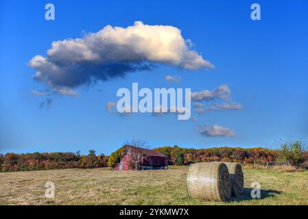 Paysage agricole d'une ancienne grange rouge rustique dans un champ sur une ferme du Maryland pendant l'automne avec des couleurs d'automne et des balles de foin Banque D'Images