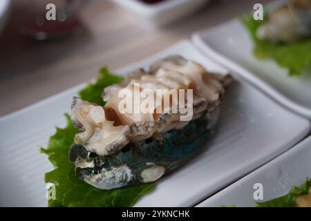 Mangez des ​​raw d'ormeaux fraîches tranchées Banque D'Images