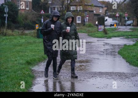 Londres, Royaume-Uni. 19 novembre 2024 . Les marcheurs bravent la pluie verglaçante sur une commune de Wimbledon, au sud-ouest de Londres ce matin, alors que les températures sont sur le point de chuter alors que certaines parties de la Grande-Bretagne font des expereince conditions hivernales crédit. Amer Ghazzal/Alamy Live News Banque D'Images