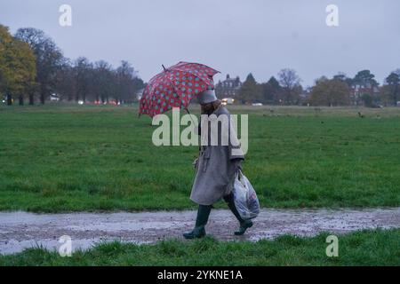 Londres, Royaume-Uni. 19 novembre 2024 . Les marcheurs bravent la pluie verglaçante sur une commune de Wimbledon, au sud-ouest de Londres ce matin, alors que les températures sont sur le point de chuter alors que certaines parties de la Grande-Bretagne font des expereince conditions hivernales crédit. Amer Ghazzal/Alamy Live News Banque D'Images