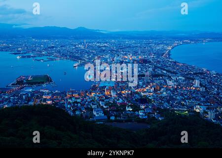 Vue de nuit depuis le mont Hakodate Banque D'Images