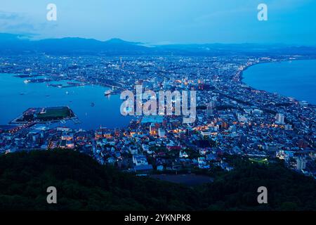 Vue de nuit depuis le mont Hakodate Banque D'Images