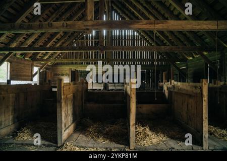 attraper des stylos à l'intérieur d'une vieille grange en bois. Photo de haute qualité Banque D'Images