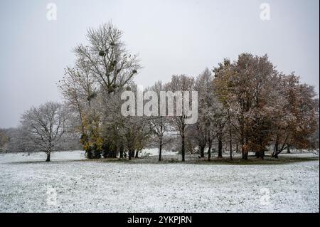 Oxford s'est réveillé à la surprise d'une chute de neige tôt en novembre. La circulation était lente en raison des conditions, mais beaucoup se sont dirigés vers de grands parcs, comme South Park, qui surplombe les célèbres flèches d'Oxford, pour jouer dans la neige. Banque D'Images