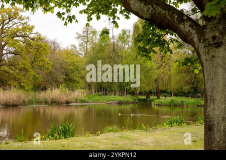 Royaume-Uni, Angleterre, West Sussex, Midhurst, South Pond Banque D'Images