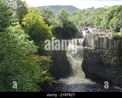 Chute d'eau High Force sur la rivière Tees, Forêt à Teesdale à Durham Banque D'Images