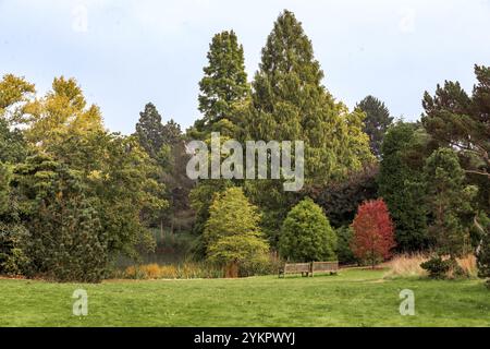 LONDRES, GRANDE-BRETAGNE - 17 SEPTEMBRE 2014 : C'est un coin isolé près d'un étang de nénuphars au début de l'automne. Banque D'Images