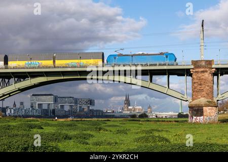 Train de marchandises sur le Suedbruecke (pont Sud), vue sur le port de Rheinau avec les maisons de grues et la cathédrale, Cologne, Allemagne. Gueterzug au Banque D'Images