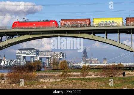 Train de marchandises sur le Suedbruecke (pont Sud), vue sur le port de Rheinau avec les maisons de grues et la cathédrale, Cologne, Allemagne. Gueterzug au Banque D'Images