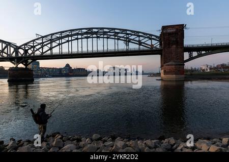 Vue d'en bas de la Suedbruecke au port de Rheinau avec les maisons de grues et à la cathédrale, pêcheur, Cologne, Allemagne. Blick von unterhalb der Su Banque D'Images