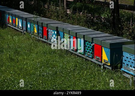 Ruches peintes avec différentes couleurs et motifs comme indices visuels pour aider les abeilles à identifier la ruche particulière abritant leur propre colonie. Parmi les centaines de ruches appartenant à Apicoltura Castel Belfort, un rucher familial fondé dans les années 1970 à Spormaggiore, Trentin-Haut-Adige, Italie. Banque D'Images