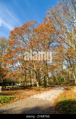 Le parking et le début des promenades au Moel Famau Country Park, Mold, pays de Galles Banque D'Images
