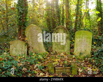 Pierres tombales de vieilles tombes parmi des plantes envahies dans le cimetière d'Abney Park, Hackney, Londres, Royaume-Uni Banque D'Images