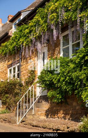 Royaume-Uni, Angleterre, Oxfordshire, Wroxton, main Street, wisteria en fleur au-dessus des marches d'entrée Old Smithy Banque D'Images