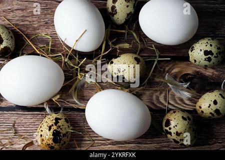 Œufs de poule blancs et œufs de caille mouchetés disposés sur une surface rustique en bois avec de la paille et des plumes. Frais de ferme. Banque D'Images