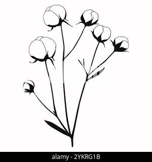 Plantes de branches de coton avec des feuilles isolées sur fond. Illustration vectorielle noir et blanc Illustration de Vecteur