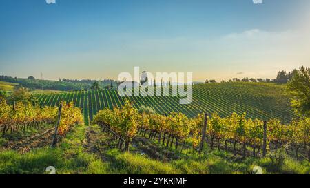 Paysage des vignobles du Chianti en automne. Province de Florence, région Toscane, Italie, Europe. Banque D'Images