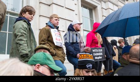 Westminster, Londres, Grande-Bretagne. 19 novembre 2024. Un groupe de jeunes partisans bordent les bâtiments de Whitehall en tenant leurs pancartes alors que les rues deviennent pleines en contrebas. Alors que la protestation des agriculteurs se poursuit devant Whitehall, des milliers d'agriculteurs de tout le Royaume-Uni sont descendus dans les rues de Westminster à l'extérieur de Whitehall et le long de la place du Parlement pour s'opposer aux modifications gouvernementales des lois sur les droits de succession. Helen Cowles / Alamy Live News Banque D'Images