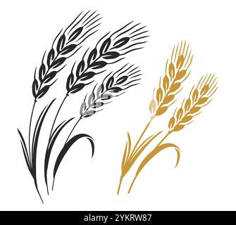 Oreilles de blé isolées sur fond blanc. Grains de céréales. Symbole de récolte et d'agriculture. Elément d'ingrédient Illustration de Vecteur
