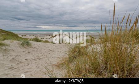 Un paysage côtier paisible avec de douces dunes de sable et de hautes herbes, avec un océan serein qui s'étend jusqu'à l'horizon sous un ciel couvert Banque D'Images