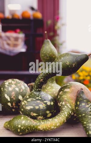 Halloween Fall Harvest Pumpkin Gourds Banque D'Images