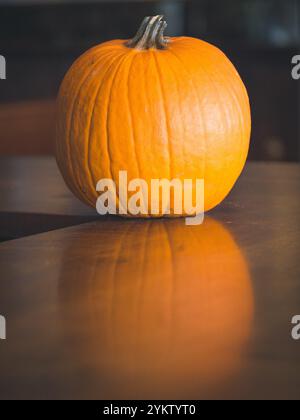 Halloween Fall Harvest Pumpkin Gourds Banque D'Images