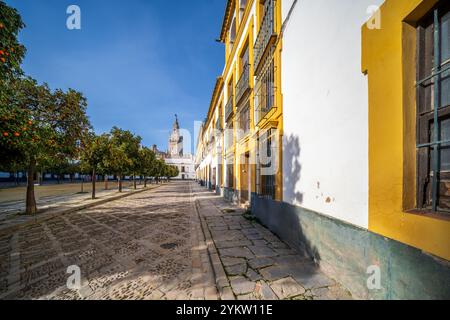 La Giralda vue depuis le pittoresque Patio de Banderas à Séville, Espagne. Banque D'Images