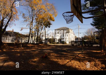 le basket-ball abandonné se trouve dans un tas de feuilles d'automne colorées Banque D'Images