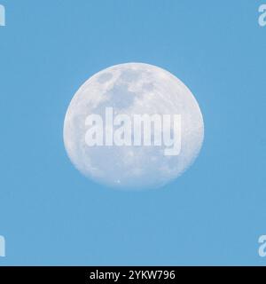 Vue d'une quasi pleine lune pendant la journée en plein jour à Schotia Game Reserve, Eastern Cape, Afrique du Sud Banque D'Images