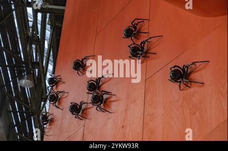 Une photo d'une installation d'art avec des araignées noires exposées au centre d'art NDSM Banque D'Images