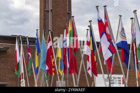 Une photo de nombreux drapeaux nationaux devant le stade olympique dans le cadre de l'édition 2022 du Marathon d'Amsterdam Banque D'Images