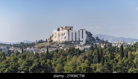 Une image de l'Acropole d'Athènes et du Parthénon, vue au-dessus d'une ligne d'arbres au premier plan Banque D'Images