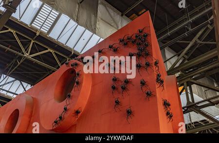 Une photo d'une installation d'art avec des araignées noires exposées au centre d'art NDSM Banque D'Images