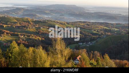 Ambiance matinale, lumière matinale tombant sur le paysage vallonné et les vignobles, brume matinale dans la vallée, vue depuis la plate-forme d'observation Demmerkogel Banque D'Images