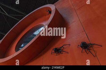 Une photo d'une installation d'art avec des araignées noires exposées au centre d'art NDSM Banque D'Images