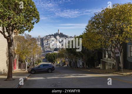 Une image de la tour Coit au sommet de la colline du Telegraph, vue depuis la colline russe, à l'automne Banque D'Images