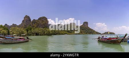 Une photo panoramique du paysage côtier de Railay Beach East, Ao Nang Banque D'Images