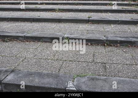 Vue rapprochée des marches en béton altérées et de la chaussée avec des mauvaises herbes en croissance et des feuilles sèches dispersées Banque D'Images