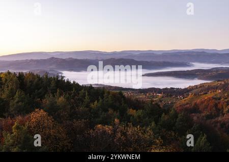 Atmosphère d'automne dans la lumière du matin, le brouillard dérive sur la forêt avec des couleurs de feuillage, paysage vallonné, vue depuis le belvédère Demmerkogel, S Banque D'Images