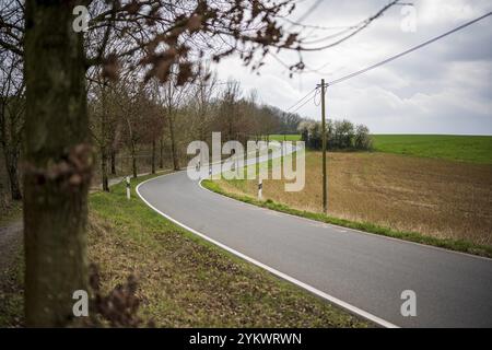 Une route de campagne sinueuse mène à travers un paysage tranquille d'arbres et de champs sous un ciel nuageux, Schiller, Wuppertal Banque D'Images