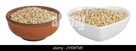 Graines de sorgho dans un bol en céramique isolé sur fond blanc avec pleine profondeur de champ. Banque D'Images